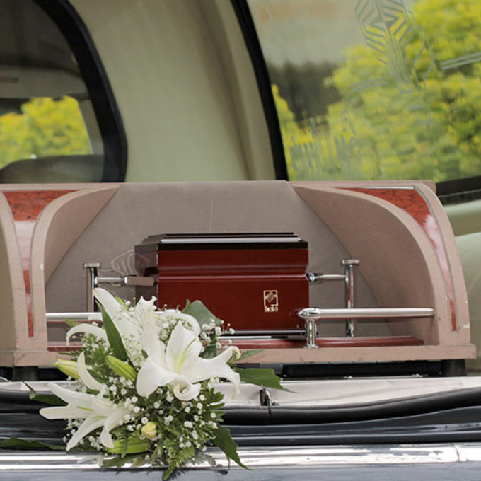 In search of excellence 2013