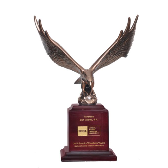 In search of excellence 2013