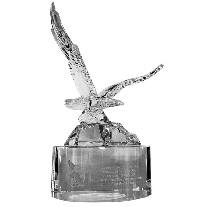 The Best of the Best 2020